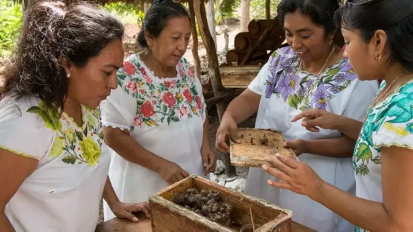 Organic Honey